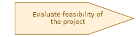 spem diagram of the activity overview: Evaluate feasibility of the project