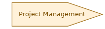 spem diagram of the activity overview: Project Management