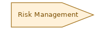 spem diagram of the activity overview: Risk Management