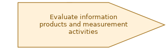 spem diagram of the activity overview: Evaluate information products and measurement activities