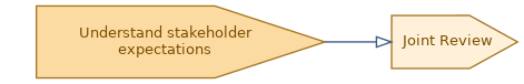 spem diagram of the activity overview: Joint Review
