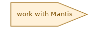 spem diagram of the activity overview: work with Mantis